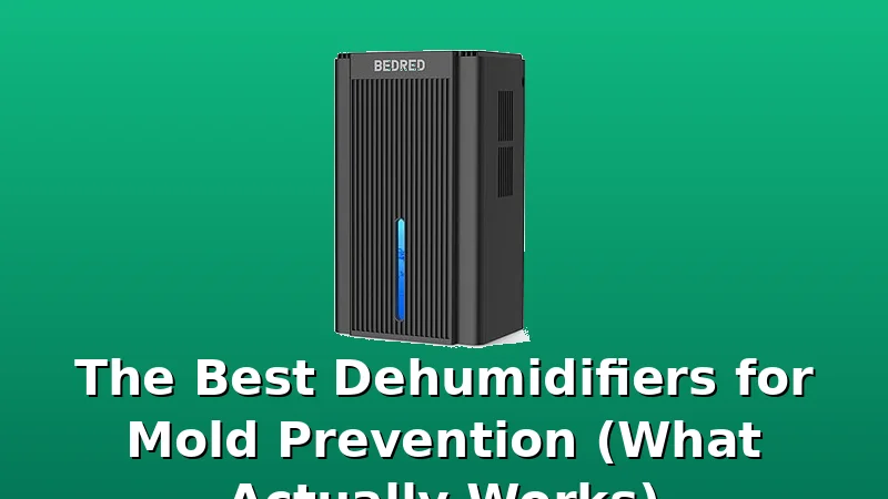 The Best Dehumidifiers for Mold Prevention (What Actually Works) - DehumidifierPicks review with measurements and honest opinion